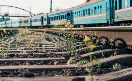 Téléchargez les photos : Chemin de fer avec de vieux trains et des fleurs jaunes fermer - en image libre de droit