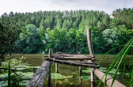 rivière et forêt verte sur une montagne sans peuple paysage Ukraine