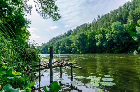 rivière et forêt verte sur une montagne sans peuple paysage Ukraine