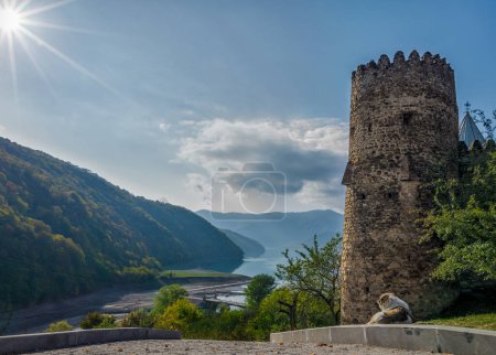 one dog waiting for people on the background of the Zhinvali reservoir and Ananuri fortress in Georgia