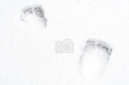 Fußabdrücke nackter menschlicher Füße auf weißem Schnee aus nächster Nähe