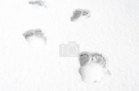 Fußabdrücke nackter menschlicher Füße auf weißem Schnee aus nächster Nähe