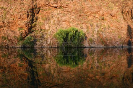 Foto de Un acantilado de roca roja sale de un río. Se refleja en el agua, al igual que los árboles y arbustos que crecen en la roca. - Imagen libre de derechos