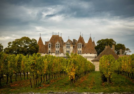 Téléchargez les photos : Monbazillac (fr. Chteau de Monbazillac est un château du sud-ouest de la France, situé dans le département de la Dordogne, à quelques kilomètres de Bergerac. France Montbasilac 13 octobre 2023 - en image libre de droit