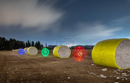 Dessin avec lumière. Grandes balles de coton sur un champ de coton. Récolte. Israël Ashkelon octobre 2021