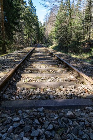 Téléchargez les photos : Chemin de fer vieux et solitaire à travers la forêt verte - en image libre de droit