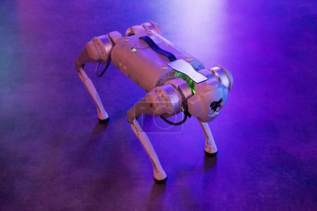 Robot de perro cuadrúpedo para ayuda y orientación con tecnología autónoma.