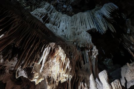 Téléchargez les photos : Grotte de la Madeleine. Stalactites et stalagmites dans la grotte des Gorges de l'Ardche. Provence, France. - en image libre de droit