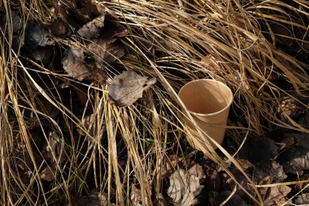 Téléchargez les photos : La tasse en papier jetable est dans l'herbe sèche. Vaisselle biodégradable. Pollution des forêts. - en image libre de droit