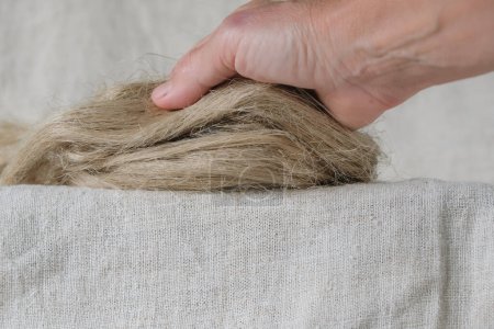 Téléchargez les photos : Une femme démontre la fibre de chanvre naturel ou de lin. Fond en tissu de chanvre. Demande croissante de fibres naturelles. - en image libre de droit