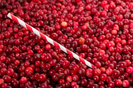 Disposable drinking straw on cranberry background.