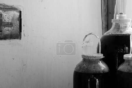 Photo for Glass jars. Plastic lids with air locks for wine fermentation. Drosophila or wine flies. Homemade wine. Black and white. - Royalty Free Image