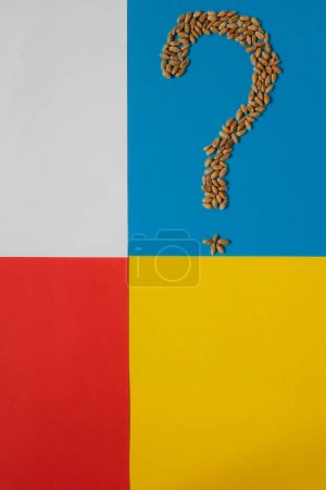 Wheat grains. Question mark. Polish and Ukrainian flag color background. Farmers against Ukrainian wheat on the European market.Border blocking. Copy space.
