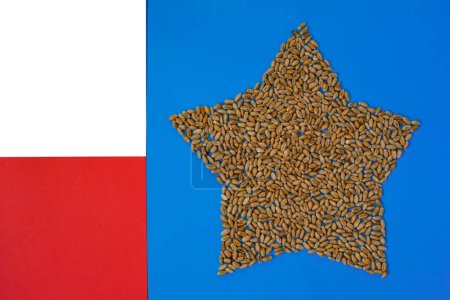 Sternzeichen der Europäischen Union aus Weizenkörnern. Polnische Flagge. Bauern gegen ukrainischen Weizen auf dem europäischen Markt. Kopierraum.