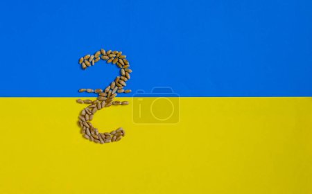 Ukrainian currency symbol (Ukrainian hryvnia) is made of wheat. Yellow and blue flag. Grain deals and world trade. Copy space.