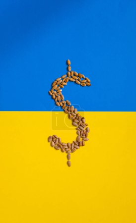 American dollar symbol made with Ukrainian wheat. Yellow and blue flag. Grain deals and world trade. Copy space.
