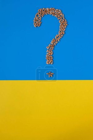 Fragezeichen. Weizenkörner. Hintergrund der ukrainischen Flagge. Weizenpolitik. Getreidestreit. Kopierraum.