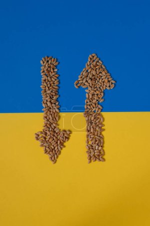 Weizenkörner. Zwei Pfeile weisen in entgegengesetzte Richtungen. Ukraine-Flagge. Getreidestreit. Exportquoten. Getreidekrise. Diplomatisches Versagen. Globale Weltkrise.