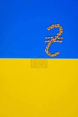 Ukrainian currency symbol (Ukrainian hryvnia). Wheat grain. Ukraine Flag. Copy space.