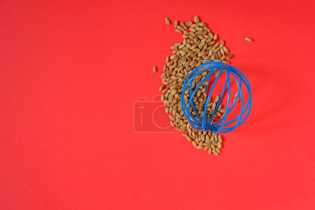 Blue, metal planet Earth model. Wheat grain. Red background. Copy space.