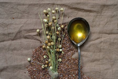 Flax seeds.Flax seed pods. Spoon filled with linseed oil. Brown linen canvas.