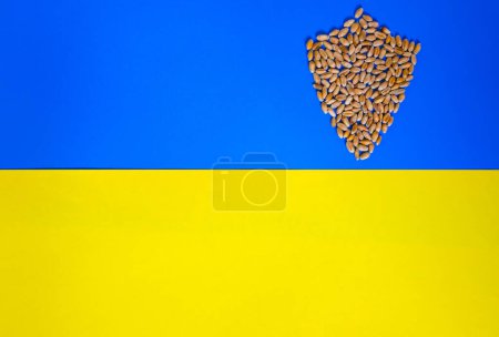 Téléchargez les photos : Du blé. Symbole du bouclier. Drapeau ukrainien. Litige sur les grains. Sécurité nationale. Espace de copie. - en image libre de droit