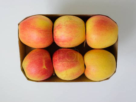 Foto de Seis manzanas en envases de cartón corrugado. Embalaje ecológico. Libre de plástico. - Imagen libre de derechos