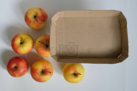 Foto de Embalaje de cartón corrugado vacío para fruta. Manzanas. Embalaje ecológico. Libre de plástico. Aislado. - Imagen libre de derechos