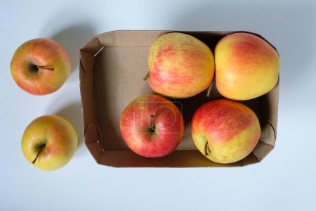 Foto de Manzanas en envases de cartón corrugado. Embalaje ecológico. Libre de plástico. - Imagen libre de derechos