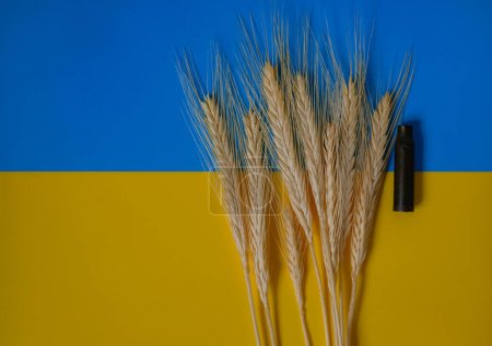 Stacheln. Hintergrund der ukrainischen Flagge. Krieg. Patronenhülse vorhanden. Schusswaffen. Aussäen. Ernten. Kopierraum.