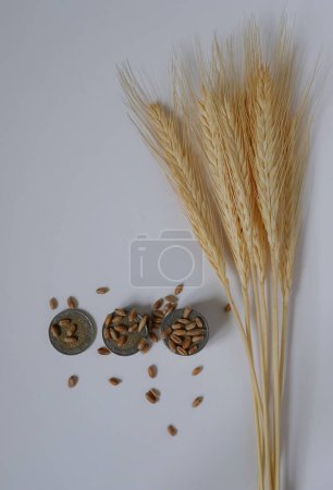 Téléchargez les photos : Des épillets. Graines de blé. Union européenne Monnaie. - en image libre de droit