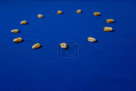 Photo for Corn Grains. Blue Background. European Union Flag. Metaphorical View on EU Agricultural Policies. - Royalty Free Image