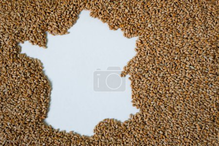 Téléchargez les photos : Carte de France remplie de grains de blé. Espace pour le texte. - en image libre de droit