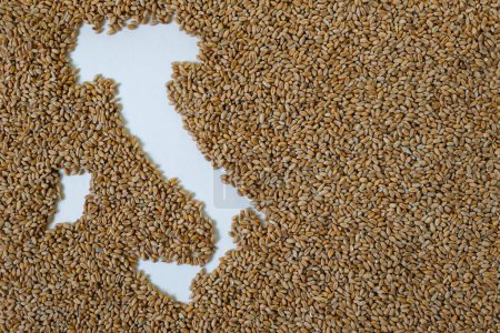 Map of Italy filled with wheat grain. Copy space.