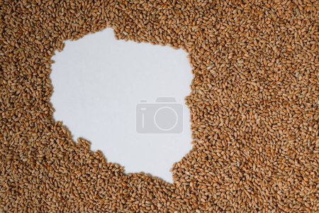 Map of Poland filled with wheat grain. Copy space.