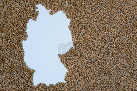 Map of Germany filled with wheat grain. Copy space.