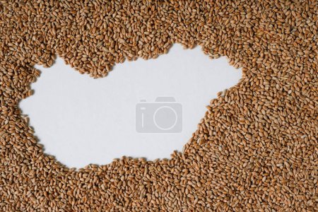 Map of Hungary filled with wheat grain. Space for text.
