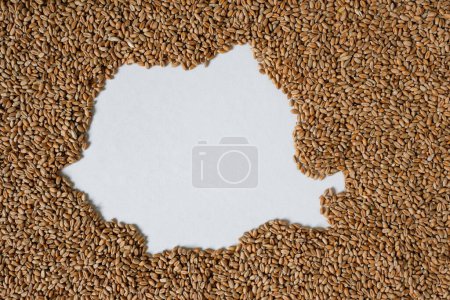 Carte de Roumanie remplie de grains de blé. Espace pour le texte.