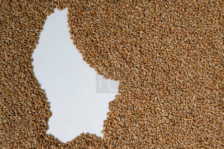 Photo for Map of Luxembourg filled with wheat grain. Copy space. - Royalty Free Image