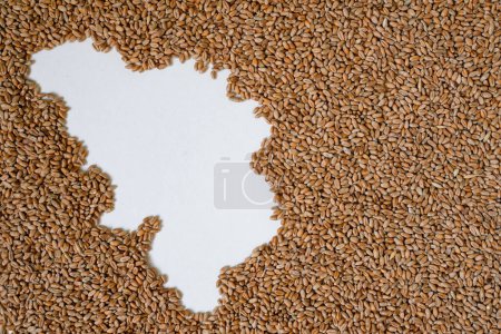 Map of Belgium filled with wheat grain. Copy space.