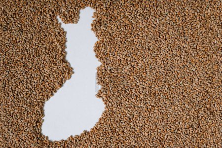 Map of Finland filled with wheat grain. Copy space.