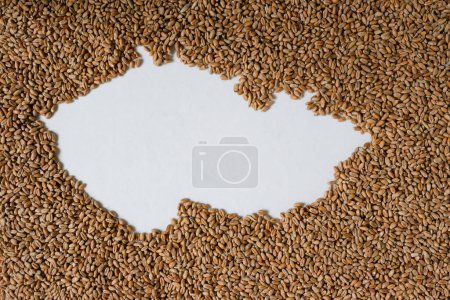Map of Czechia filled with wheat grain. Copy space.