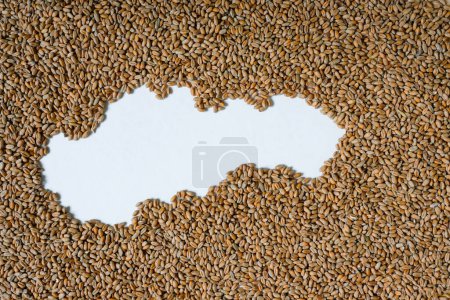 Map of Slovakia filled with wheat grain. Copy space.