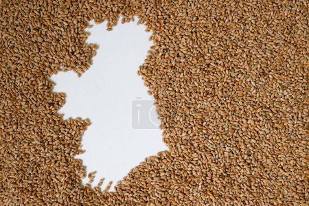 Map of Ireland filled with wheat grain. Copy space.