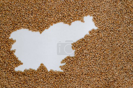 Map of Slovenia filled with wheat grain. Copy space.