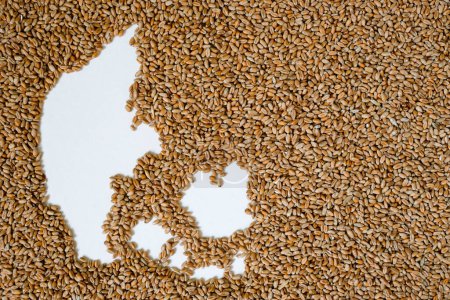 Map of Denmark filled with wheat grain. Copy space.