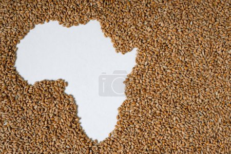 Map of Africa filled with wheat grain. Copy space.