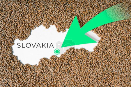 Photo for Map of Slovakia filled with wheat grain. Direction green arrow. Space for text. - Royalty Free Image
