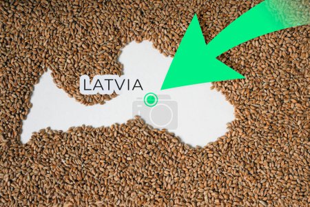 Mapa de Letonia lleno de grano de trigo. Dirección flecha verde. Espacio para texto.