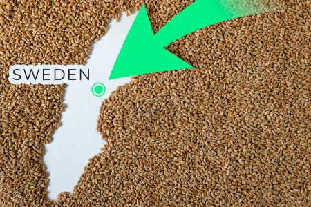 Map of Sweden filled with wheat grain. Direction green arrow. Space for text.